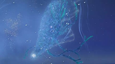 elden-ring-nightreign-augur-fathom-of-night-boss-guide
