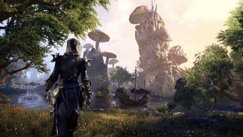 xbox-cancels-new-mmo-from-elder-scrolls-online-team-in-latest-wave-of-cuts-–-report