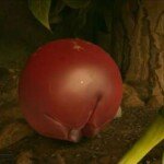 how-to-find-and-use-lingonberries-and-blueberries-for-leather-in-grounded-2