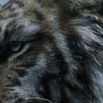 new-black-myth-game,-zhong-kui,-announced-with-teaser-trailer